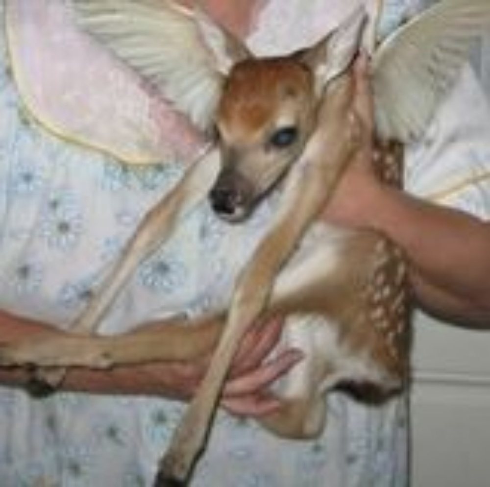 Meet your Posher, Azan